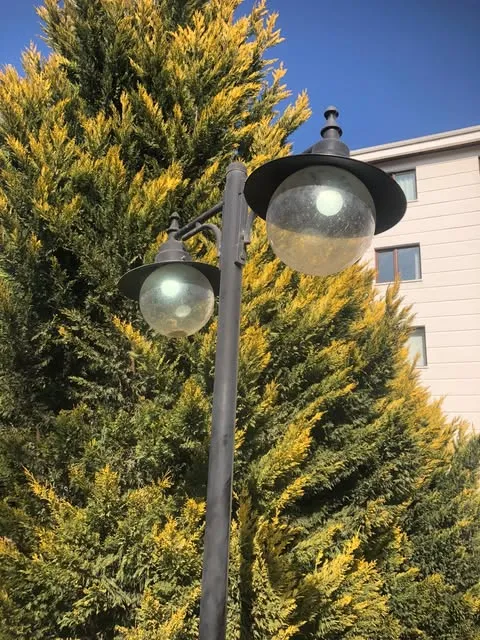 Dış Mekan Aydınlatma